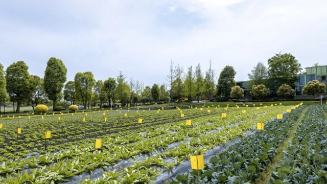 農(nóng)業(yè)農(nóng)村部2021年農(nóng)產(chǎn)品倉儲保鮮冷鏈設(shè)施項目申報指南