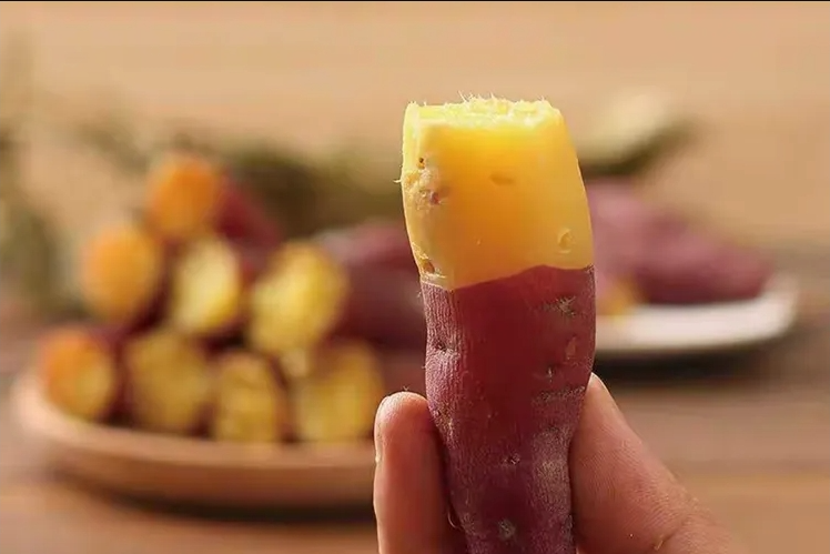 智能甘薯糖化愈合庫，紅薯存儲新變革